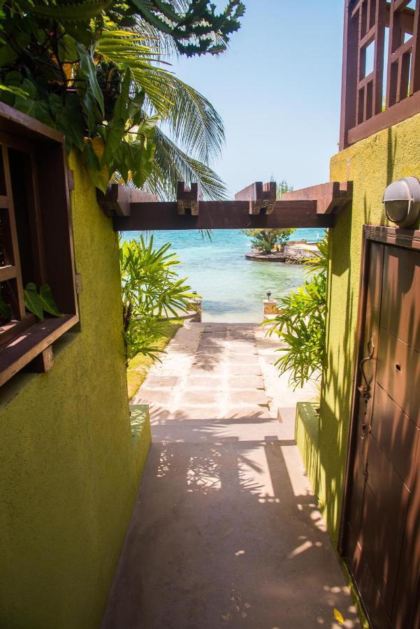 Maribella@Crystal Cove Ocho Rios Διαμέρισμα Stanmore Grove Εξωτερικό φωτογραφία